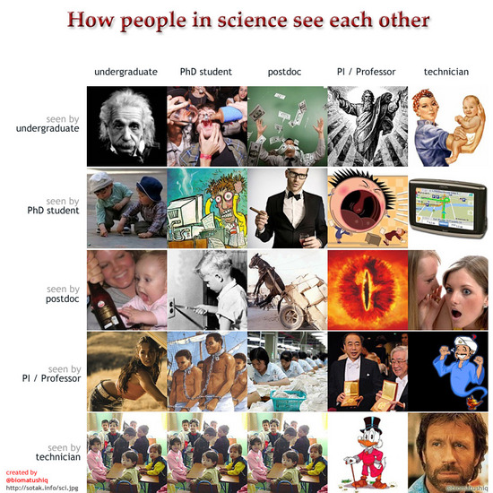 how people in sciene see each other.jpg